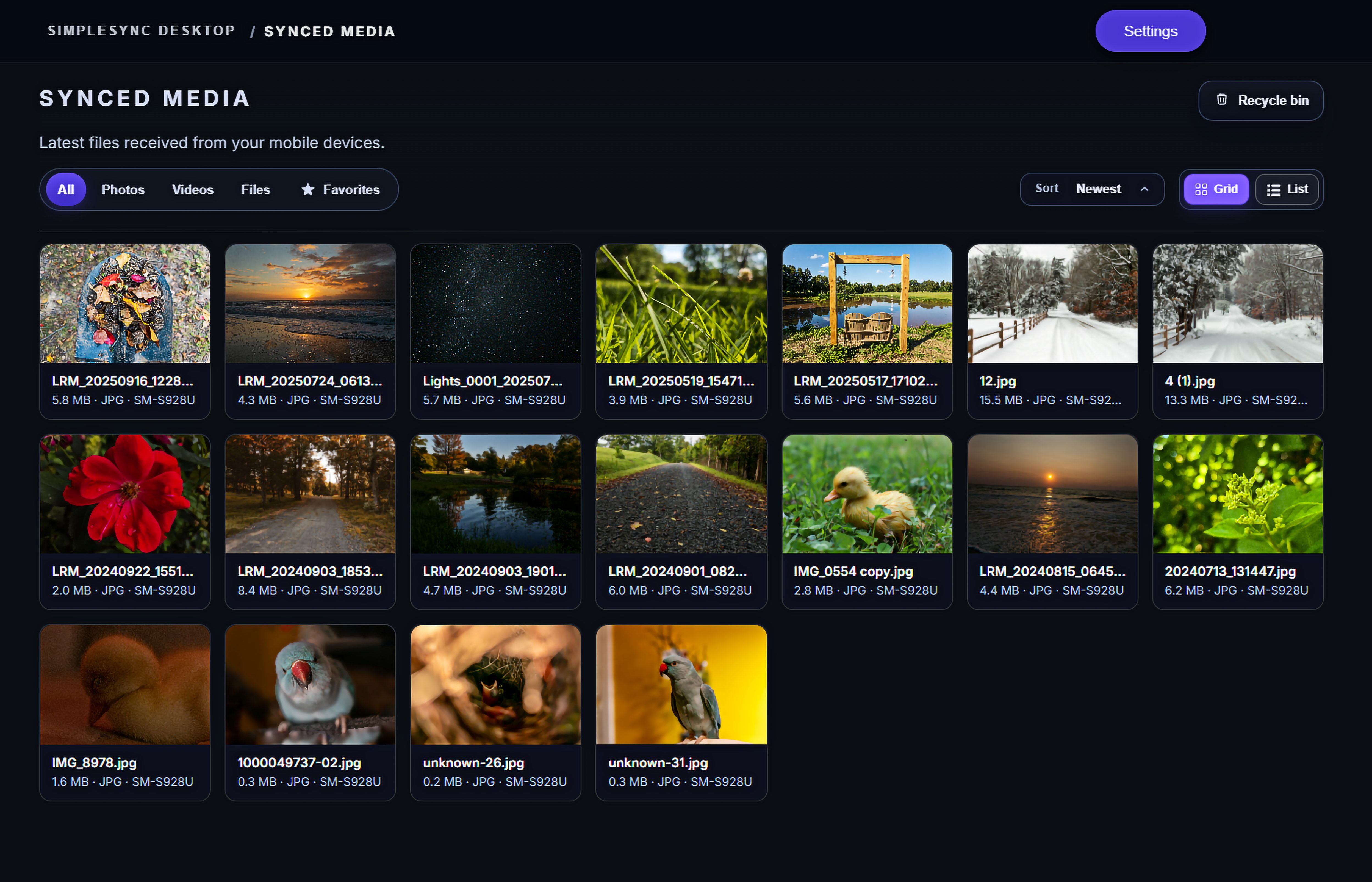 Simplesync app interface